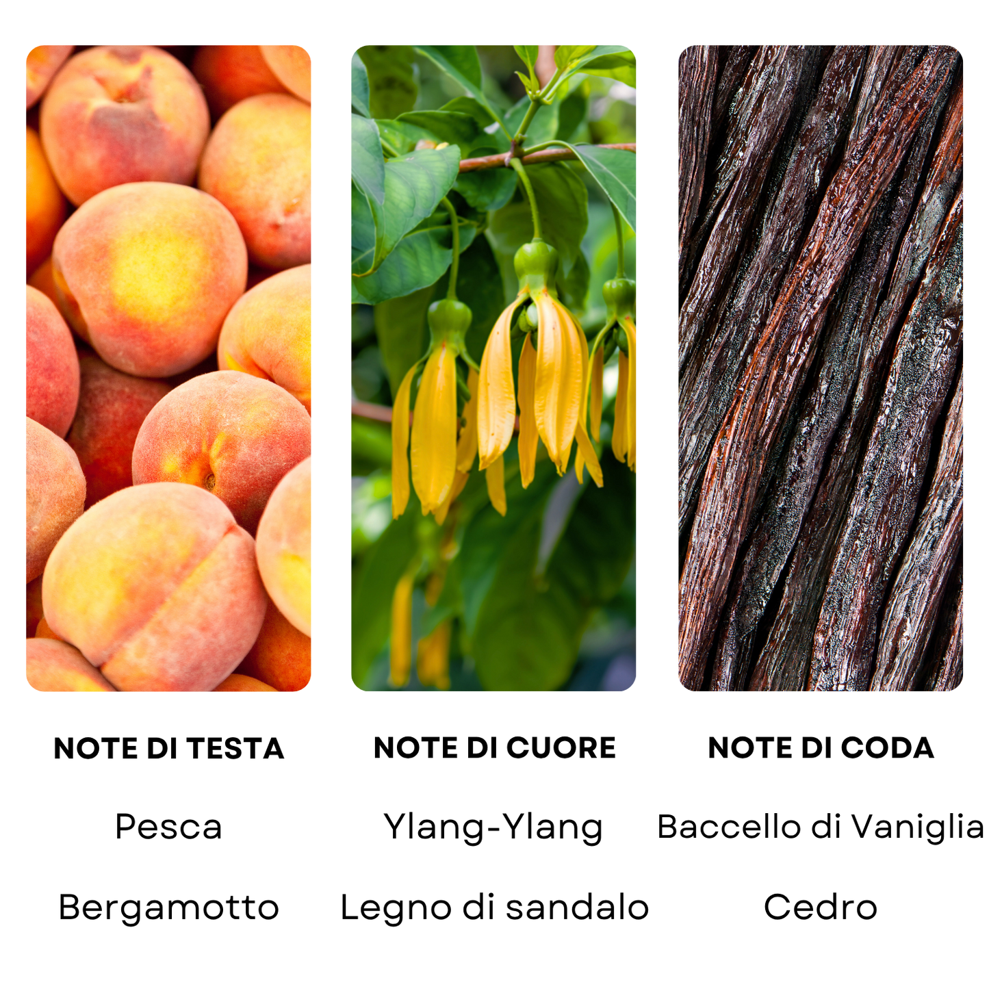 Essenza profumata "ACQUA"