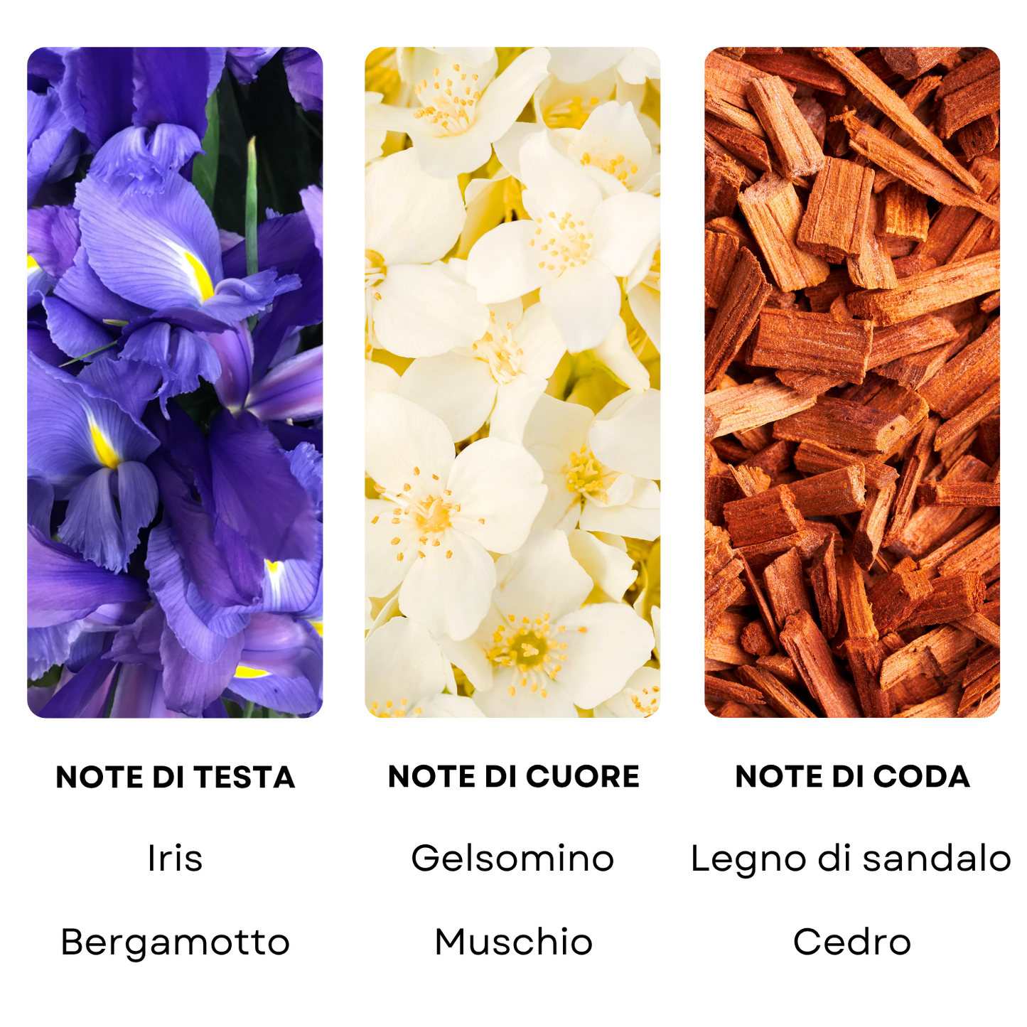 Essenza profumata "BACCARAT NEW-YORK"