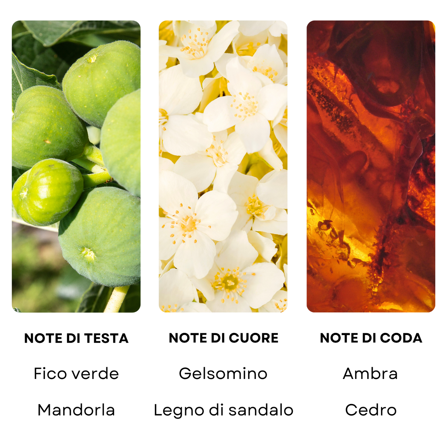 Essenza profumata "FOUR SEASONS"