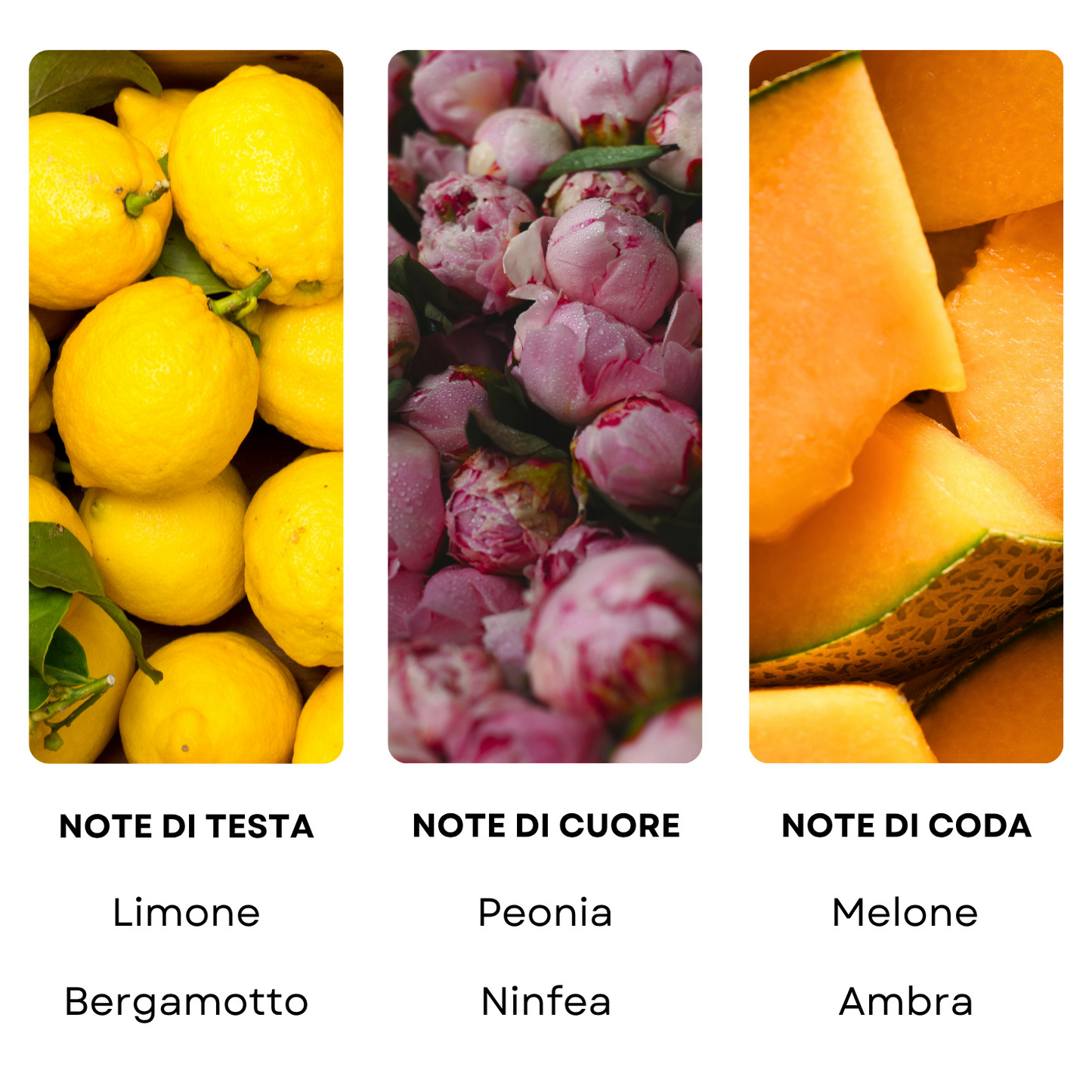 Essenza profumata "RITZ"