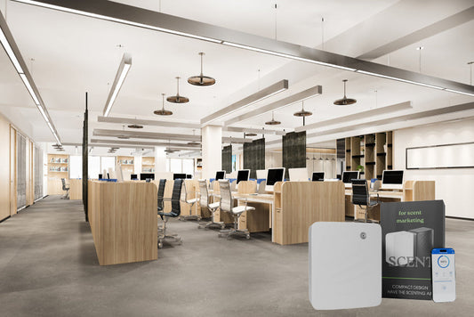 Die besten Aroma Diffuser für Zuhause und Büro