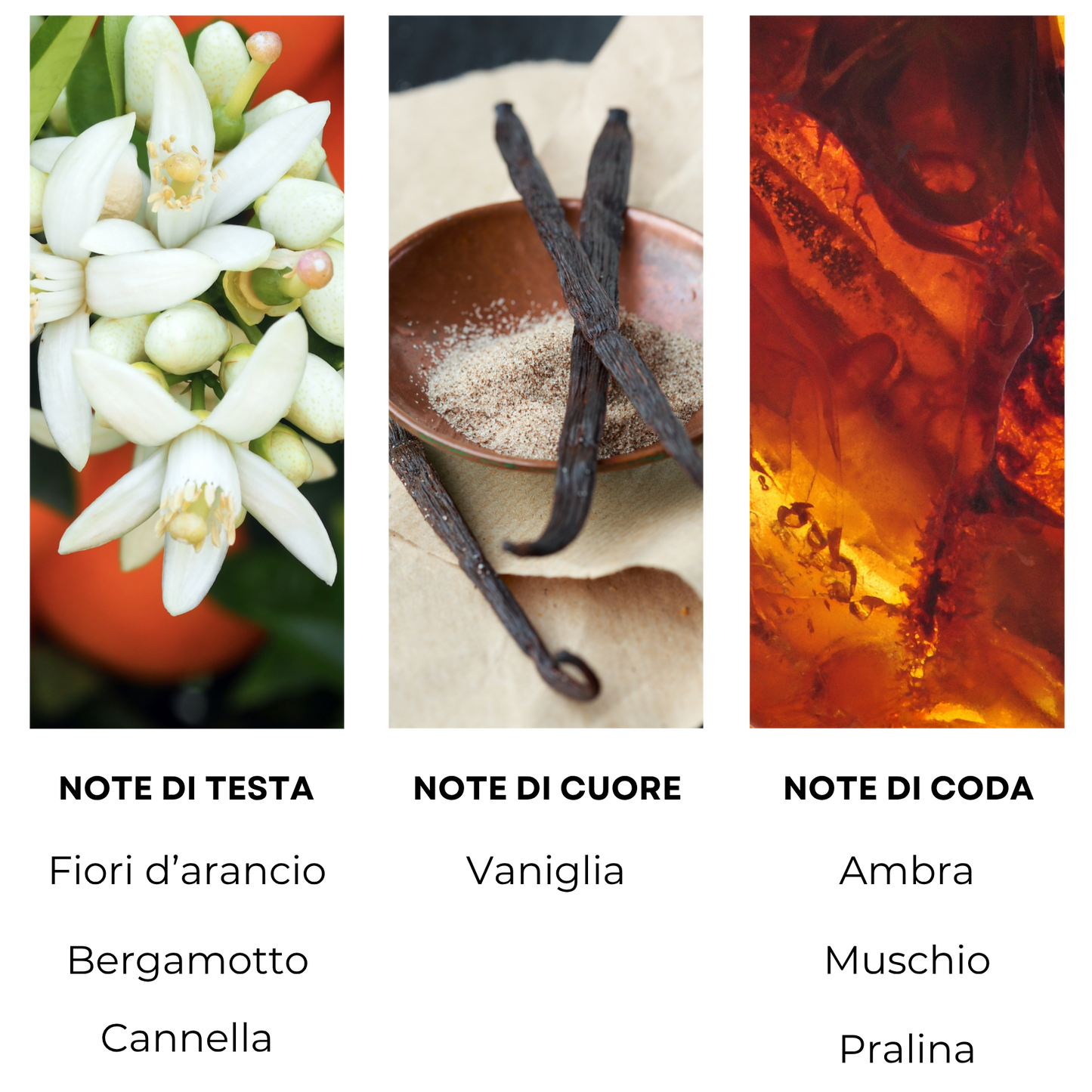 Essenza profumata "ALTAIR MARLY"