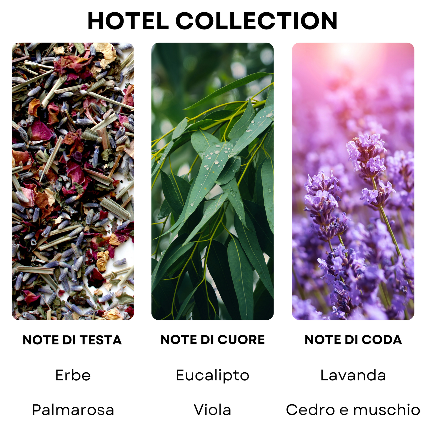 Essenza profumata "MERIOT BEACH VILLAS"