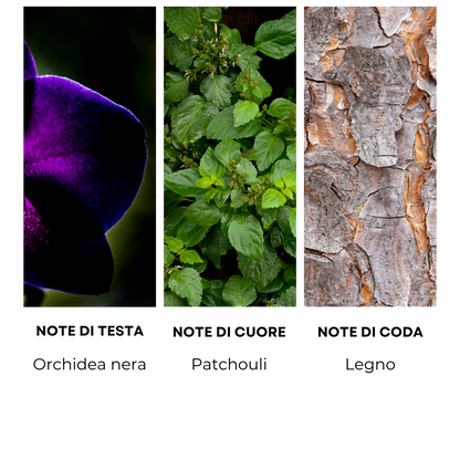 Essenza profumata "DARK ORCHID"