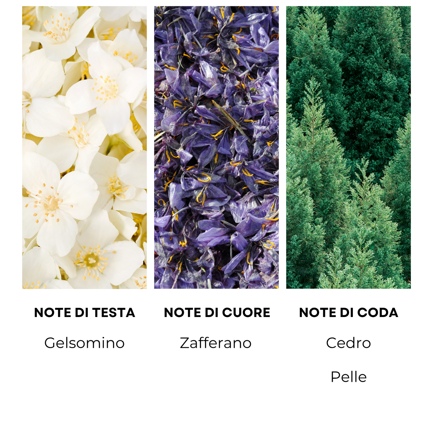 Essenza profumata "BACCARAT ROUGE"