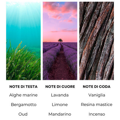 Essenza profumata "RIVIERA LIGURE"
