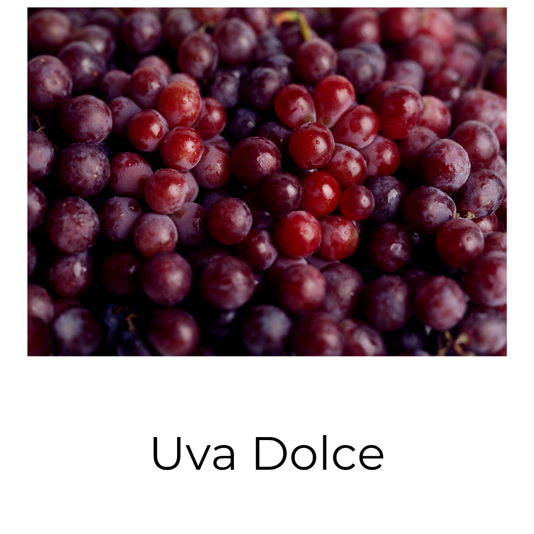 Essenza profumata "UVA TOSCANA"