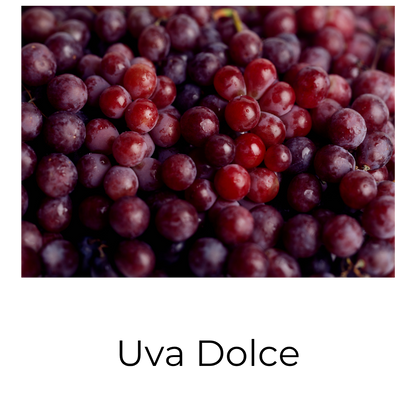 Essenza profumata "UVA TOSCANA"