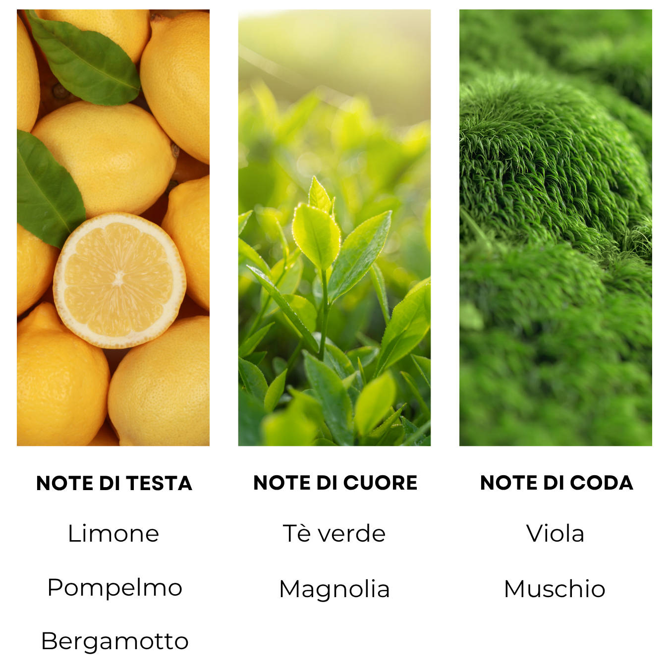 Essenza profumata "TÈ AL LIMONE"