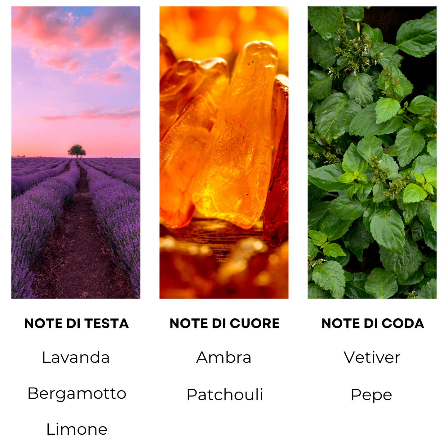 Essenza profumata "SAVAGE"